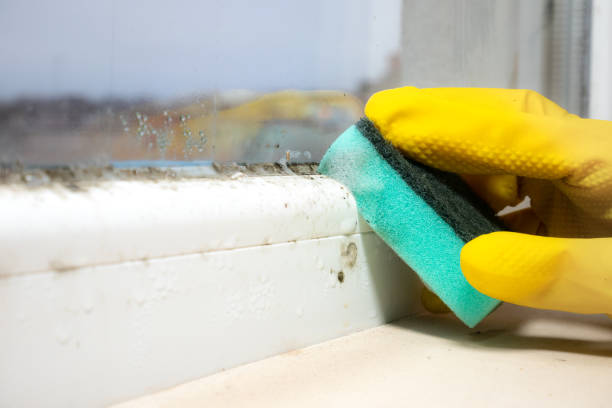 Water Damage Restoration in Beebe, AR